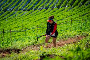 BIB: 
                            <button type="button" onclick="openModal(19162707)" class="btn btn-primary btn-sm float-right btn-popup" data-toggle="modal" data-target=".modal-high-quality">
                        <i class="fas fa-shopping-cart"></i> Add to Cart
                    </button>
                                            <button type="button" onclick="isThisMe(19162707, true)" class="btn btn-success btn-sm float-right btn-popup btn-isme hidden" data-toggle="tooltip" data-placement="bottom" title="นี่คือรูปของคุณใช่ไหม คลิกที่นี่เพื่อเอาเข้าอัลบั้ม">
                        <i class="fas fa-plus"></i> Add to album
                    </button>
                    <button type="button" onclick="isThisMe(19162707, false)" class="btn btn-warning btn-sm float-right btn-popup btn-isnotme hidden">
                        <i class="fas fa-ban"></i> Remove from album
                    </button>